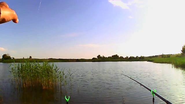 Рыбалка огонь. Лещи гнут удочки в дугу.