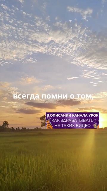 Никогда не сдавайся!