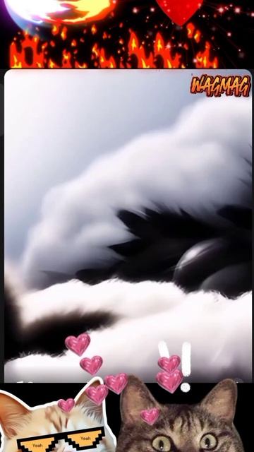 1000055517.mp4
