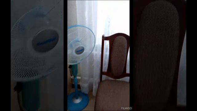 Животные тоже плачут и переживают.