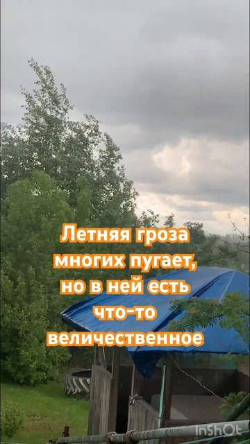 Гроза
