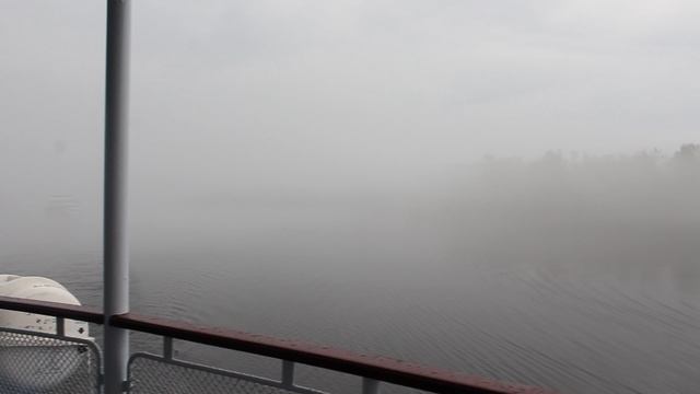 10. Туман (1)