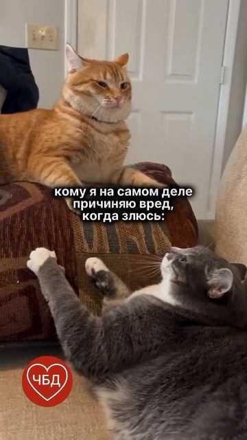 Прежде подумайте, а стоит ли?