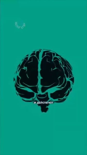 #интересныефакты (1)