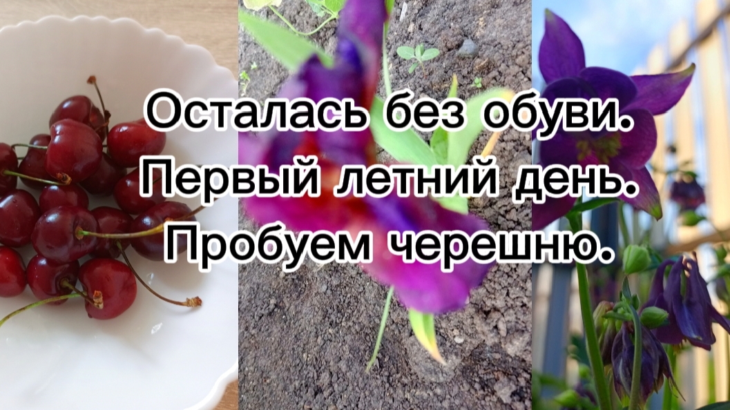 01-06-2025Осталась без обуви.Первый летний день.Пробуем черешню.
