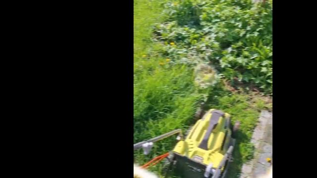 1000025212.mp4 (Собака наблюдает за стрижкой газона у дома А- фрейм)