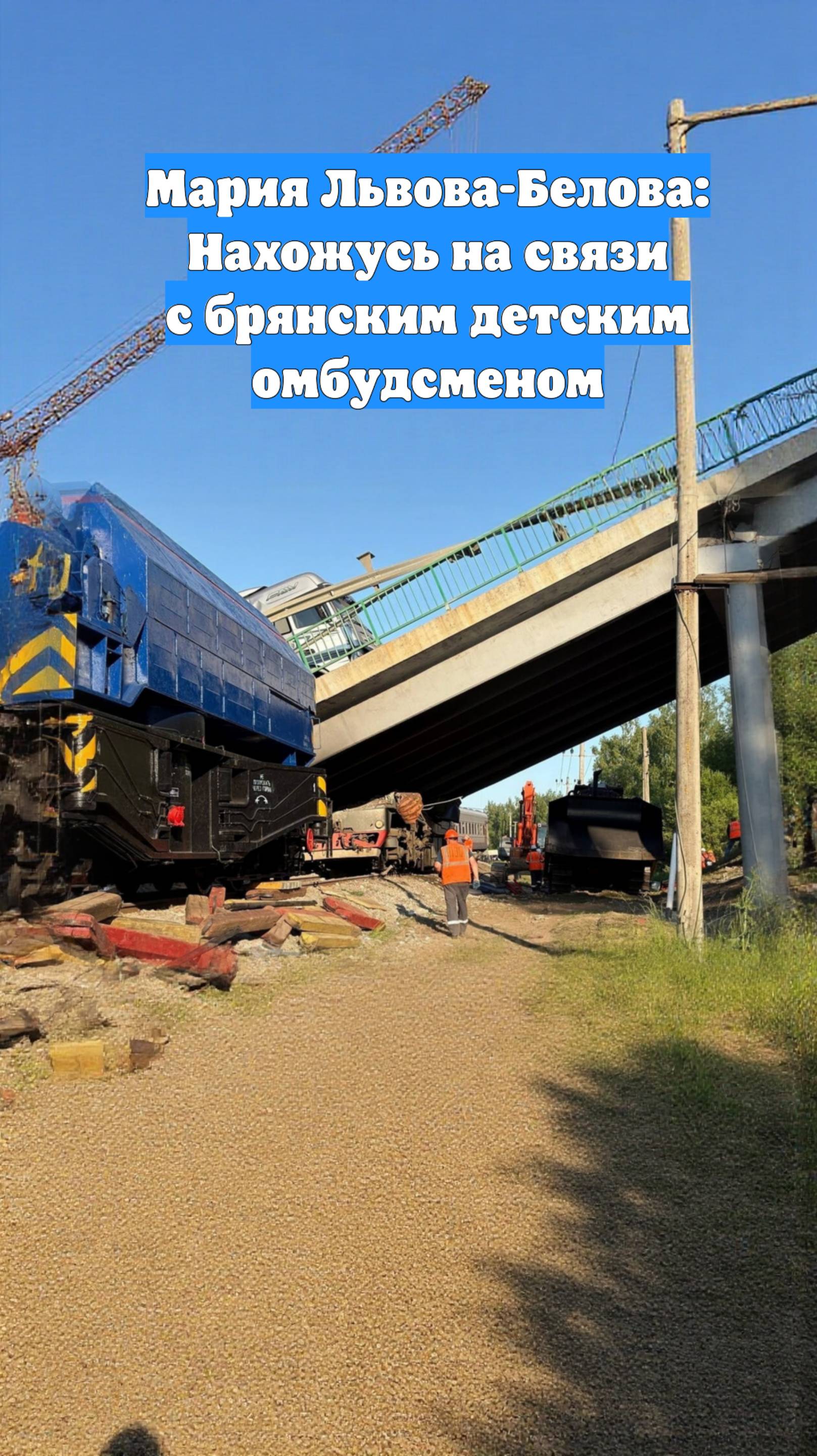 Мария Львова-Белова: Нахожусь на связи с брянским детским омбудсменом