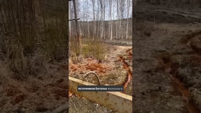 Ржавая