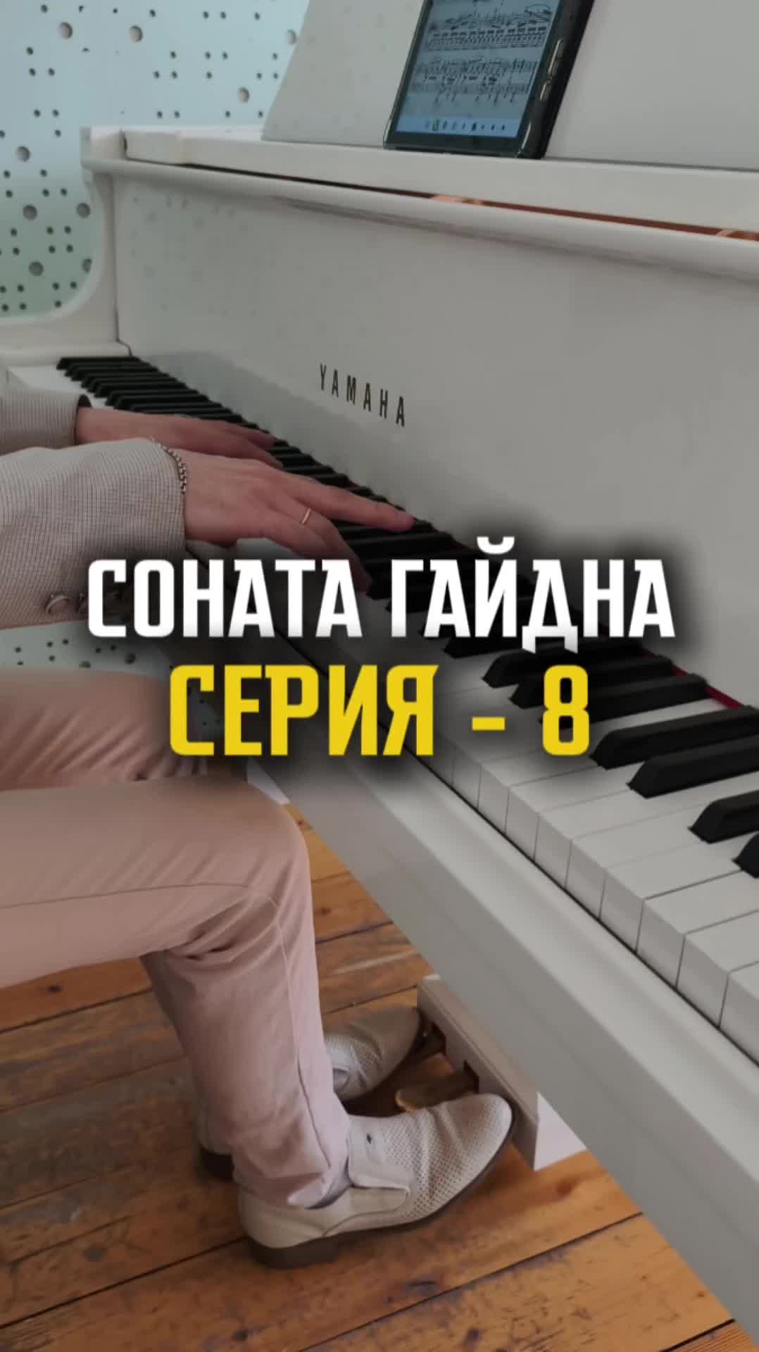 Соната Гайдна - Серия 8