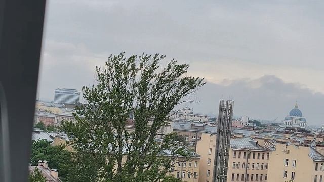 Приглашаю в гости. Вика в Питере.