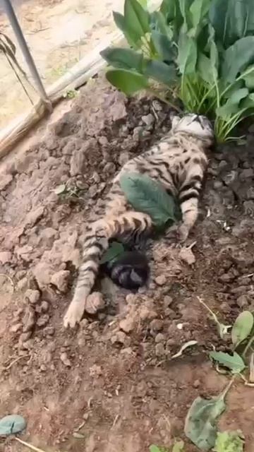 Отдыхаем!