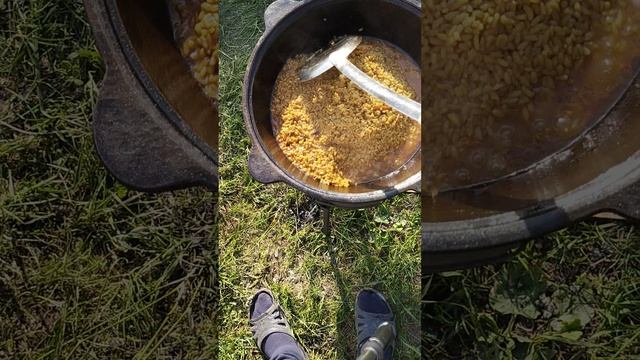 1000151014.mp4