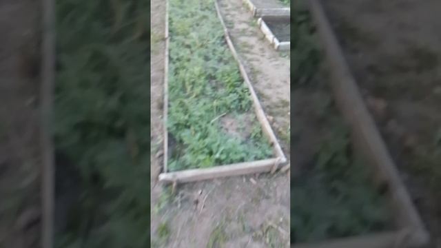 осиротел 😭😭😭