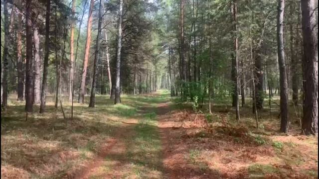 Если вам от 30 -45 лет вы просто родились в неподходящий момент