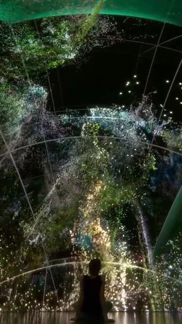 -313490663669810868
