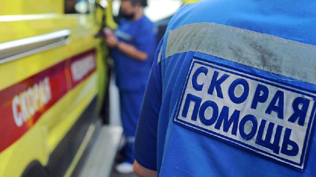 Машинист поезда и его помощник погибли при обрушении моста в Брянской области