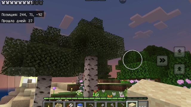 Minecraft game