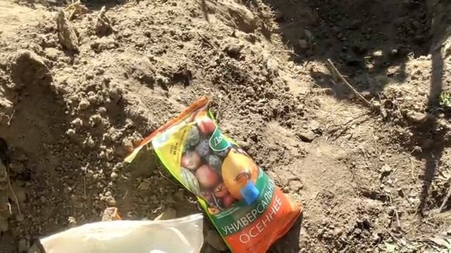 Распаковка и посадка роз Питомник Душа Сада