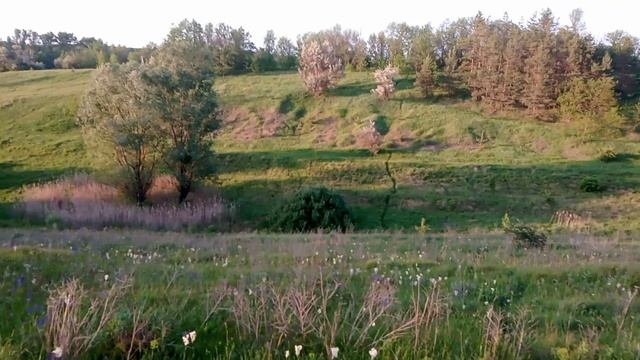 Природная красота