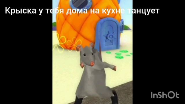 Мемы про крыску