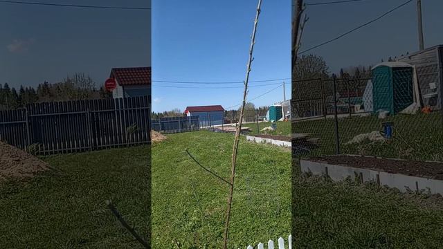 1000042560.mp4