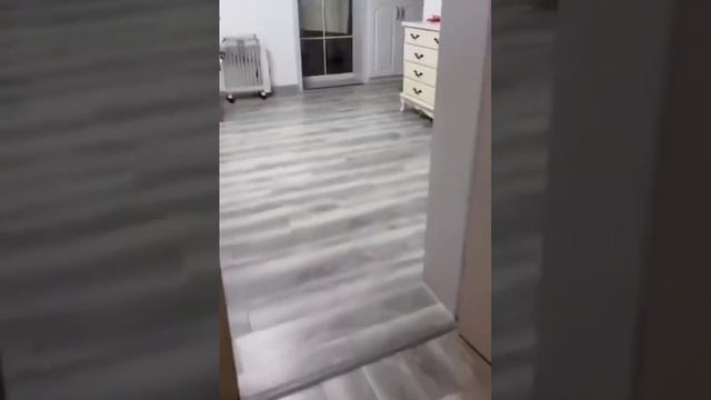 Коты всегда ответят