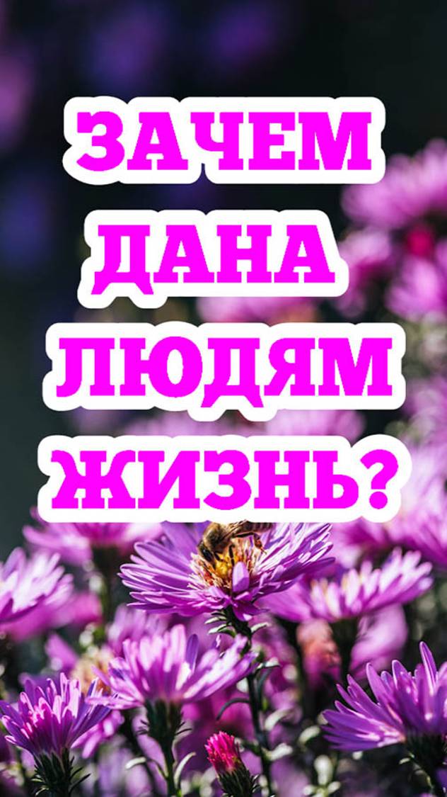 Зачем дана людям жизнь?