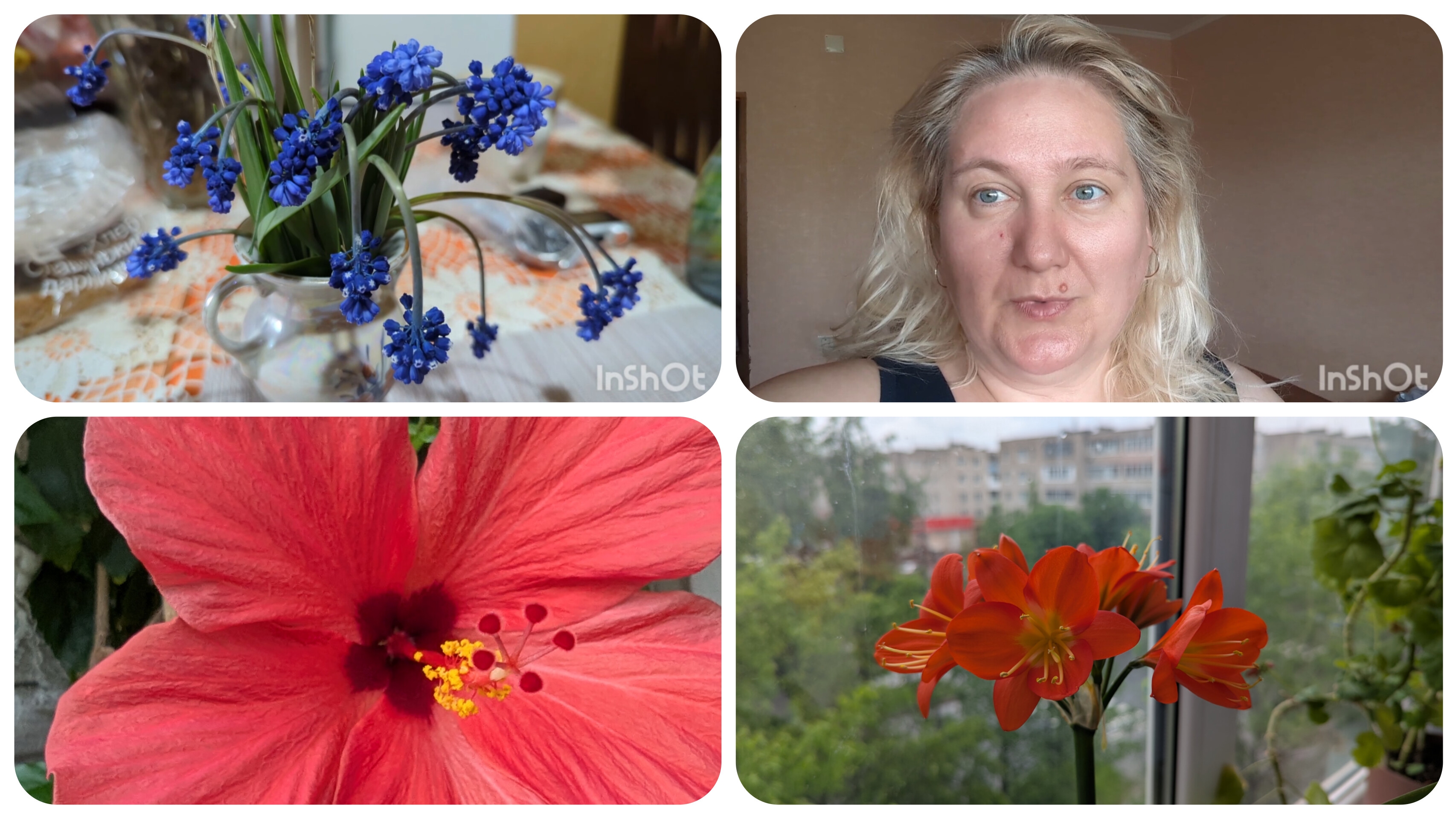 Утро воскресенья/ цветы цветут/ планы на день