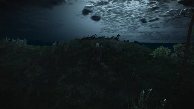The Witcher 3 Wild Hunt Архигрифон 48 уровня