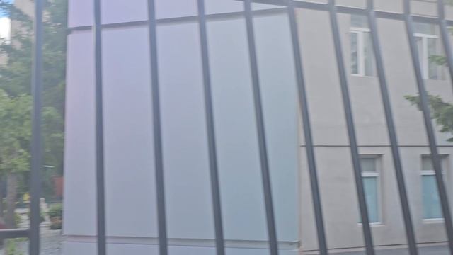 Павлюхина 100 обзор