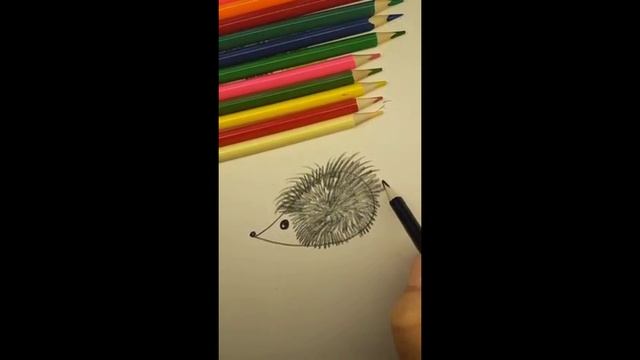 Рисунок ежика