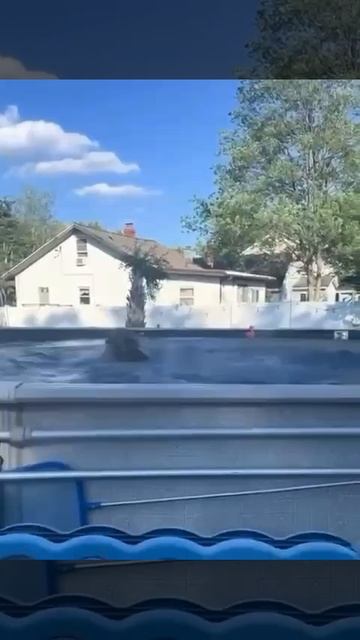 1000084301.mp4