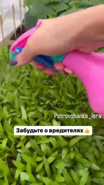 Забудьте о вредителях