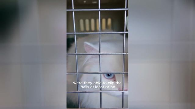 Best video of Tik Tok! 01.06.25 / 01