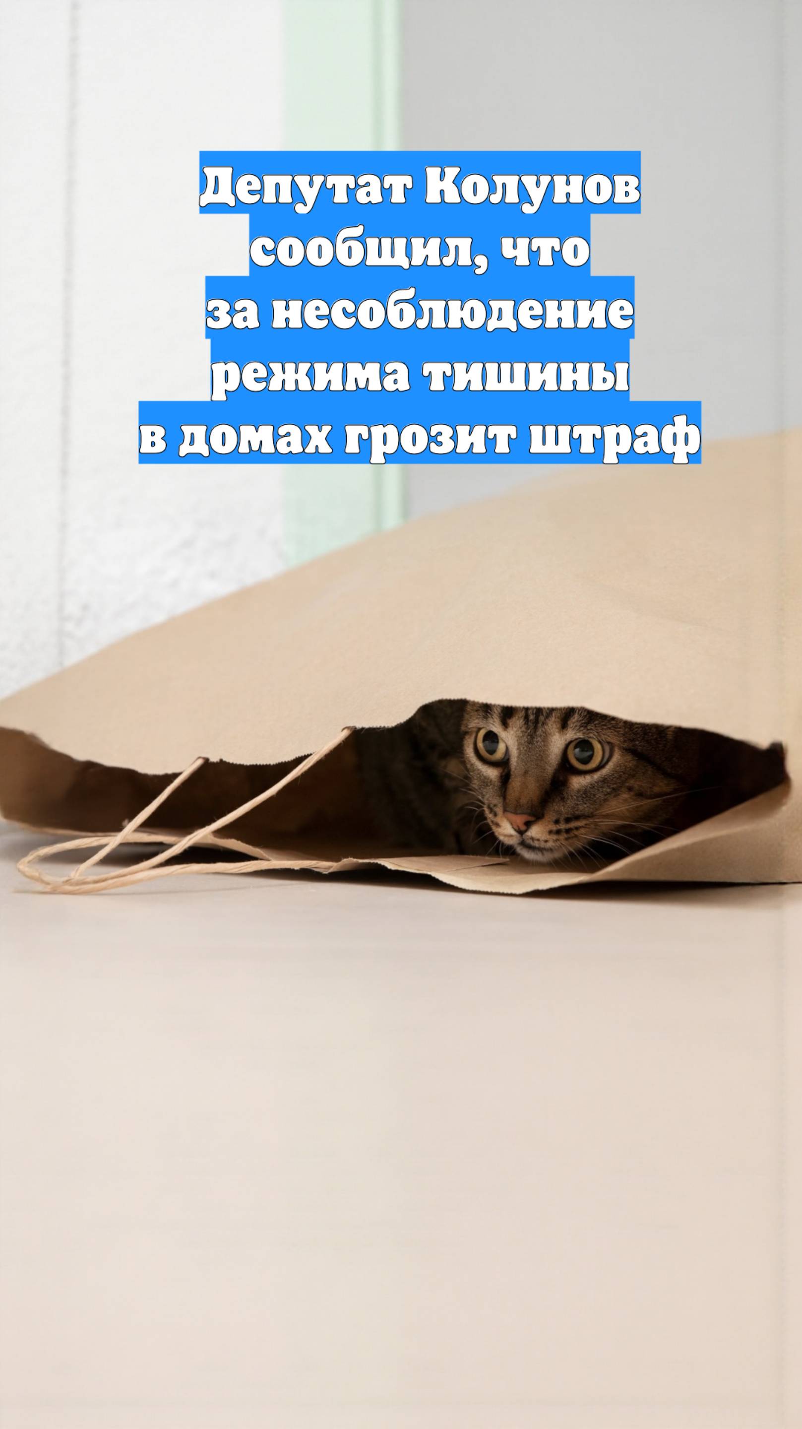 Депутат Колунов сообщил, что за несоблюдение режима тишины в домах грозит штраф