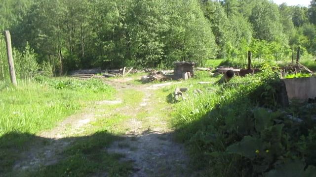MVI_3642