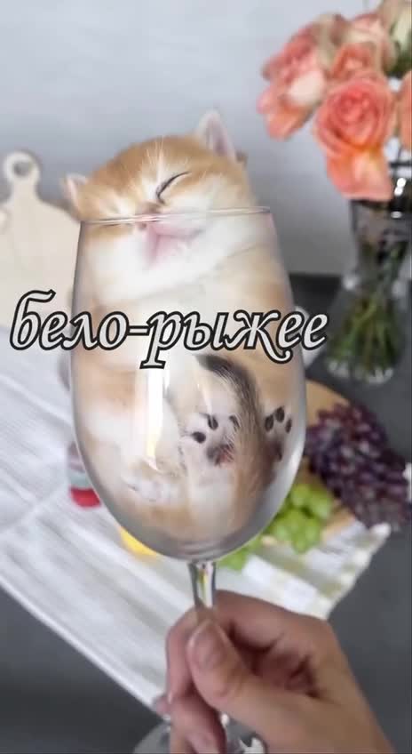 Подпишись 👉 https://vk.com/ykrasheniy_iz_kamny