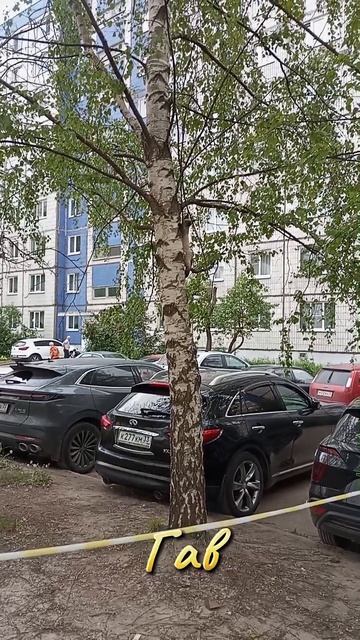 Котёнок по имени Гав