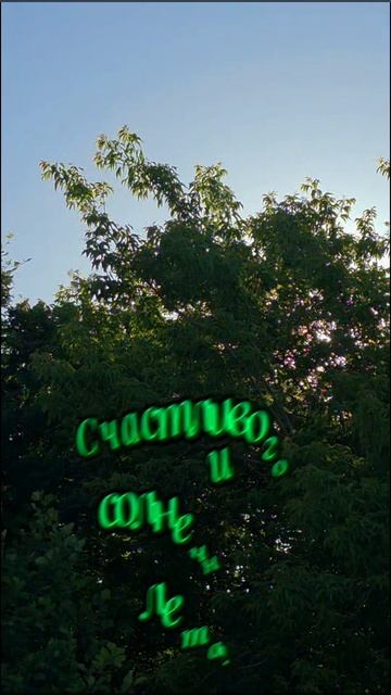 Лето привет🌺