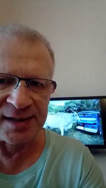 О чем реально договаривались  участники переговоров в Стамбуле?