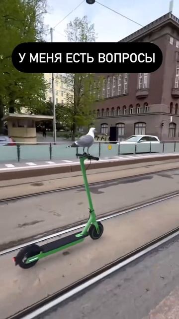 1000084337.mp4