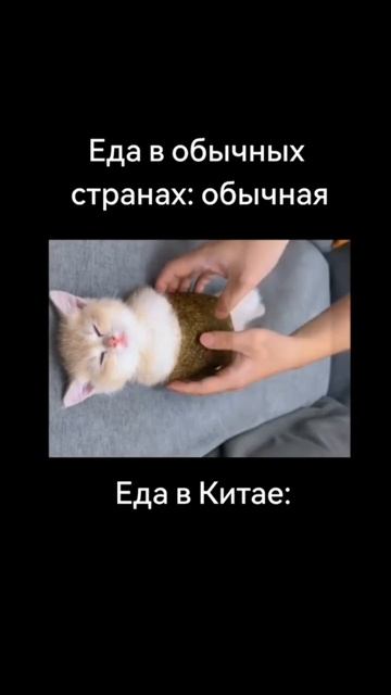 Еда в Китае