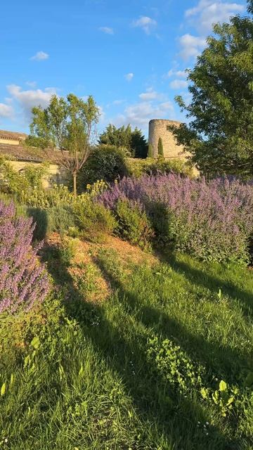 #ТихаяРоскошь 📍 Capelongue, Bonnieux, a Beaumier Hotel, Бонньё, Прованс 🇫🇷 #МояФранция
