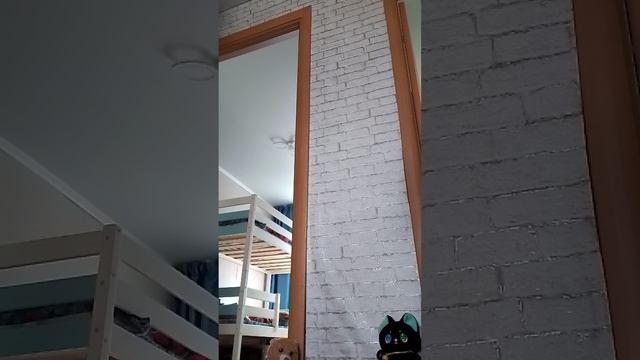 милый котик( полная версия ) 9 серии