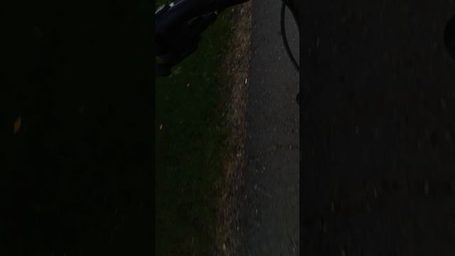 1000000498.mp4