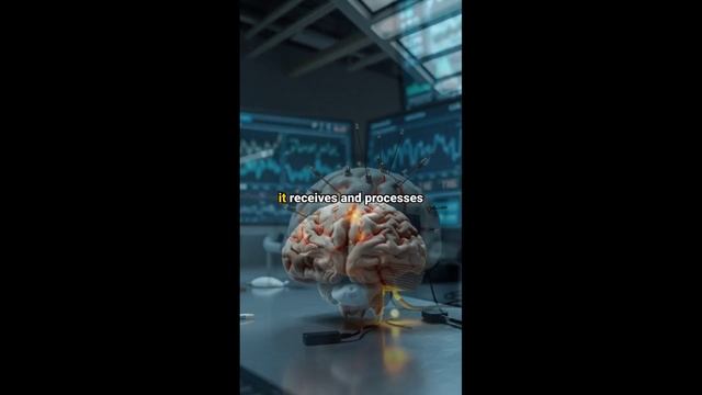 Сознвние - фундаментальное свойство вселенной