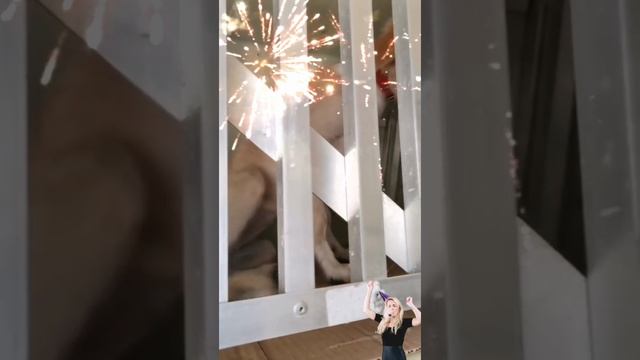 супер новость !!! уехали наши собачки в Россию!!!! спасибо огромное за помощь