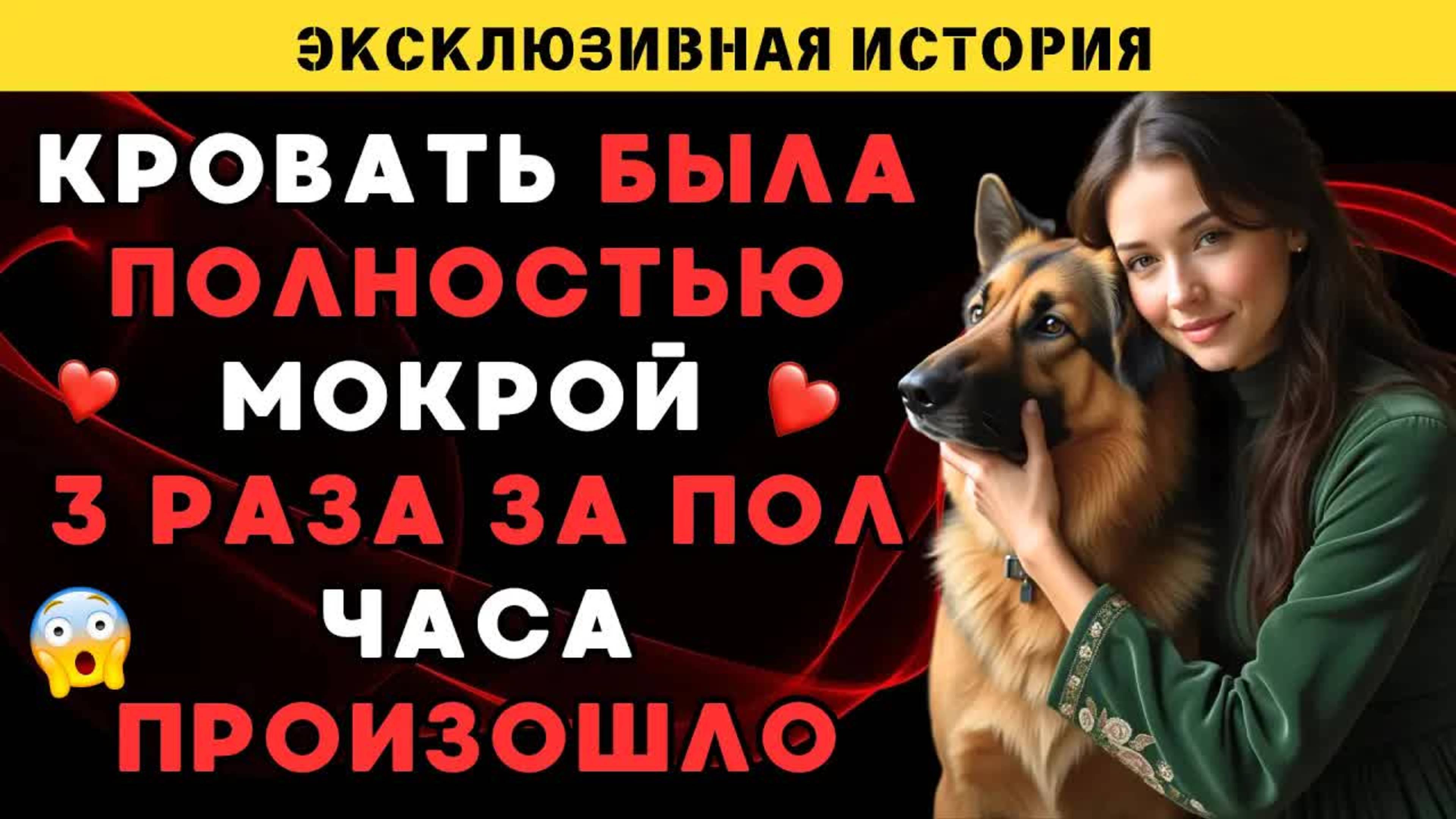 Мой пёс сделал то, что мой муж не смог за 10 лет – и мне это понравилось.