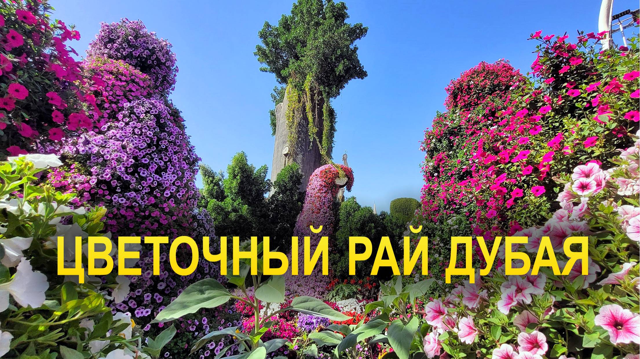 Потрясающий Рай Цветов Дубая: Miracle Garden
