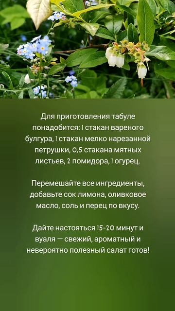 Табуле — освежающий летний салат 🤗🥗🌿